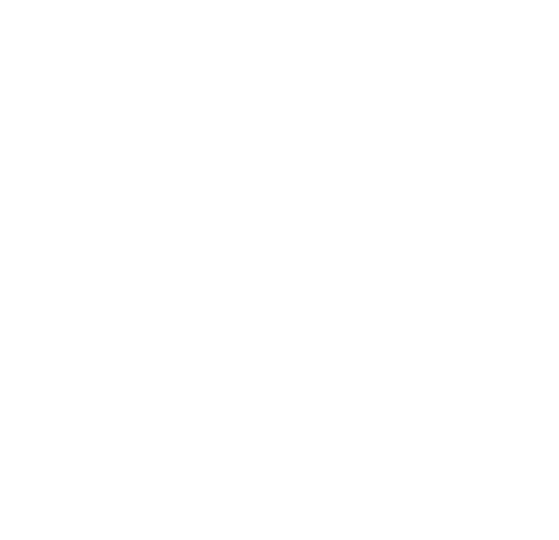 PolitiChat